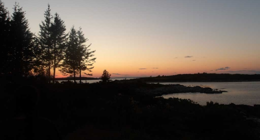 The sky appears in gentle colors above trees and a body of water. 